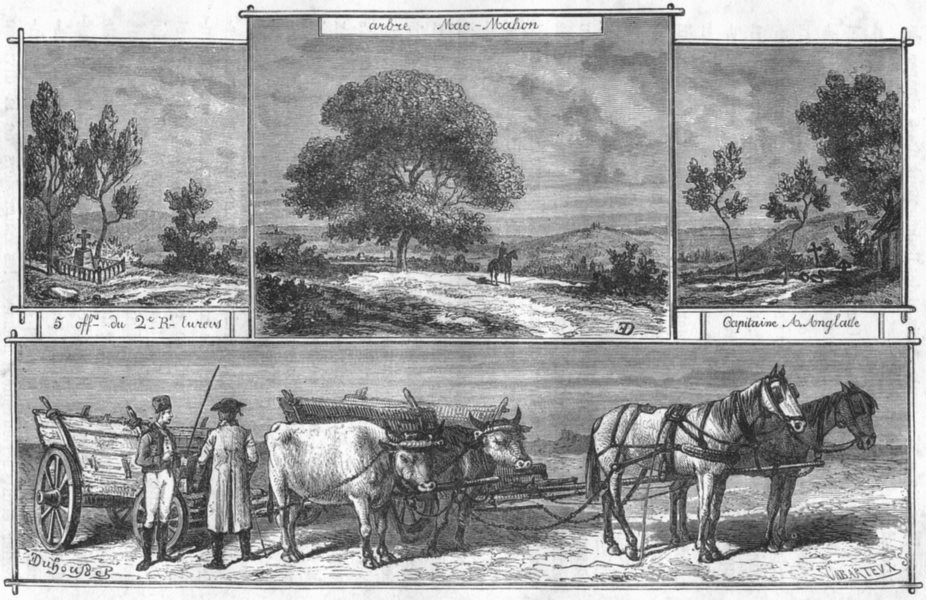 BAS-RHIN. Arbre Mac-Mahon; 5, du 2 e Rf-lureos; Capitaine A Anglade 1880 print