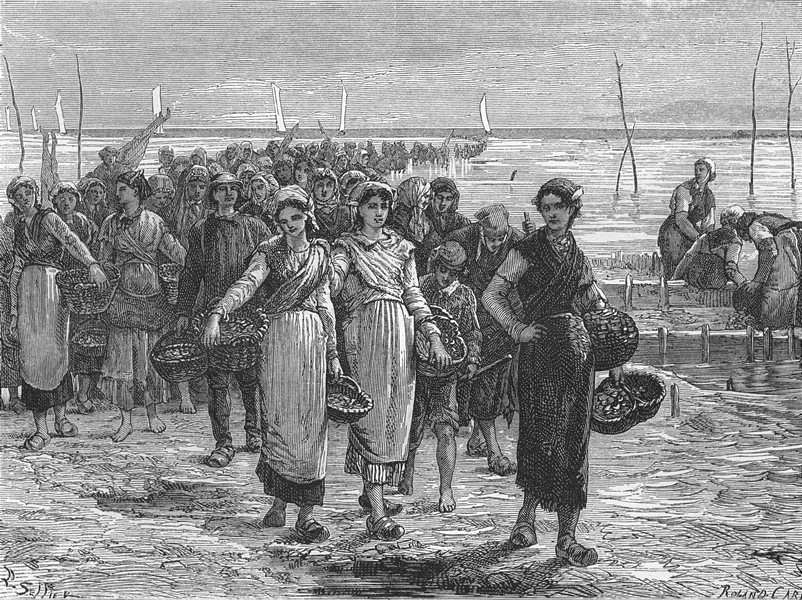 ILLE-ET-VILAINE. Fisherwomen of Cancale c1878 old antique print picture