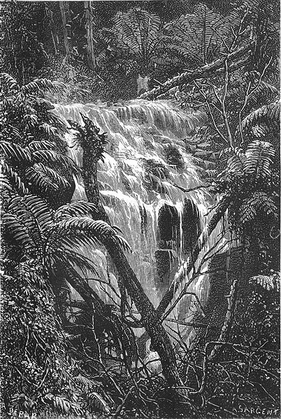 AUSTRALIA. Waterfall in the Black Spur 1886 old antique vintage print picture