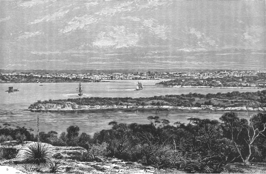 AUSTRALIA. New South Wales. Sydney Harbour 1886 old antique print picture