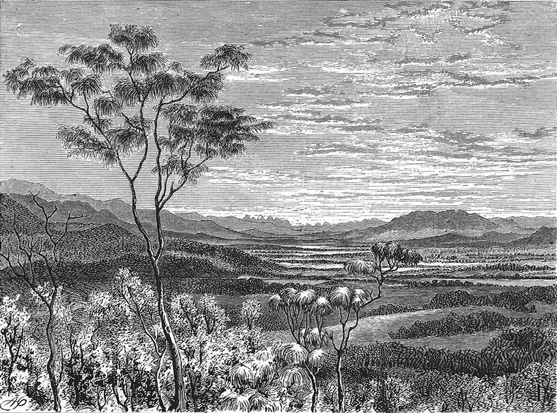 Associate Product AUSTRALIA. Queensland. Valley of river Brisbane 1886 old antique print picture