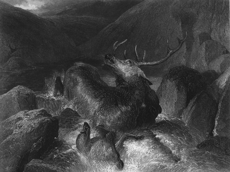 Associate Product DOGS. The death of the stag-Landseer c1870 old antique vintage print picture