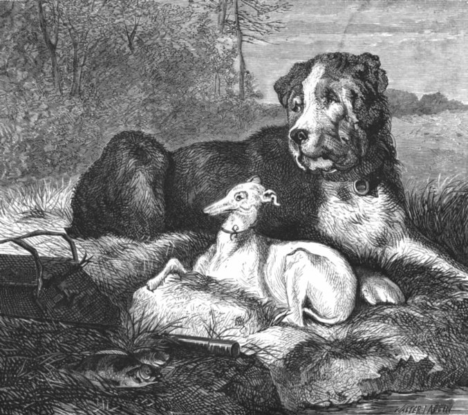 Associate Product FISHING. The Angler's Guard-Landseer c1880 old antique vintage print picture