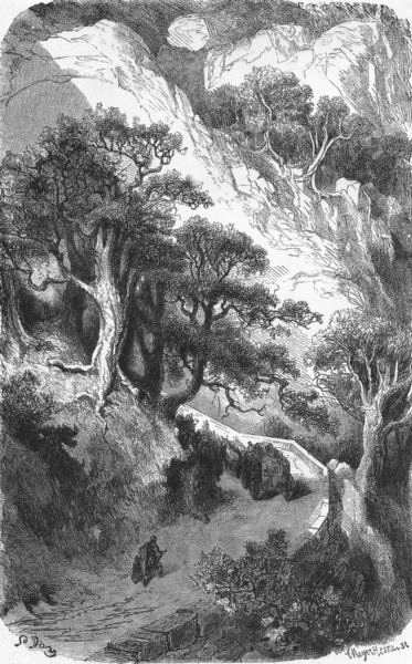Associate Product SPAIN. The Col de Perthus; The Cork-Trees 1881 old antique print picture