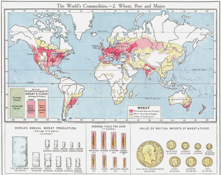 Associate Product WORLD. Commodities - Production & sources of Wheat Rye & Maize 1907 old map