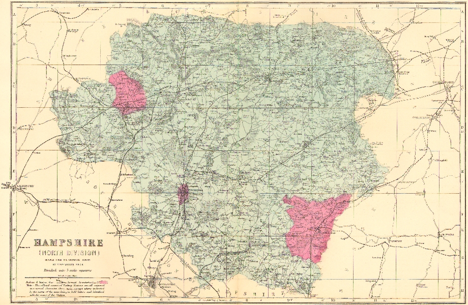 HAMPSHIRE (North). Antique county map by GW BACON 1884 old chart