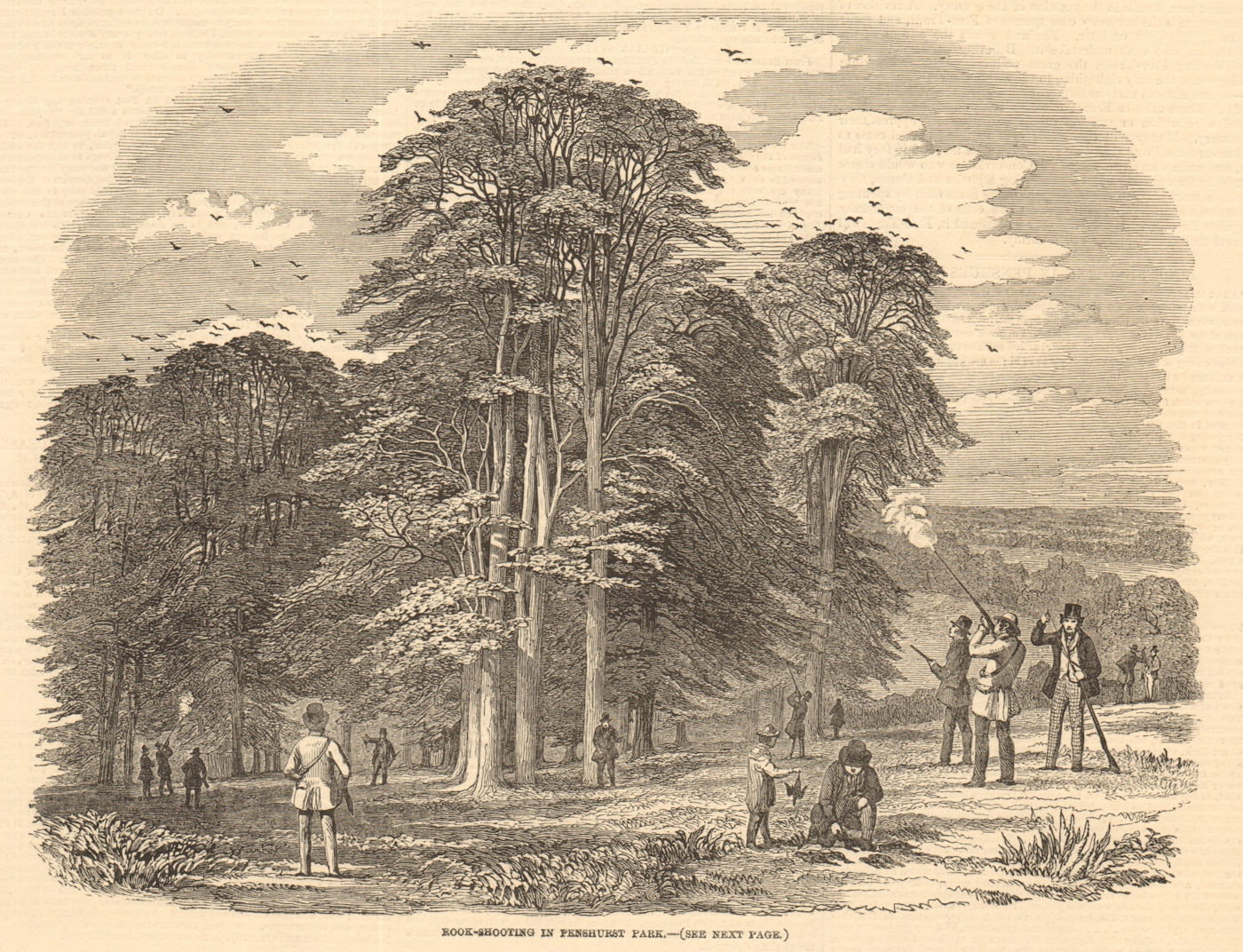 Associate Product Rook-shooting in Penshurst Park. Kent. Hunting 1850 antique ILN full page print
