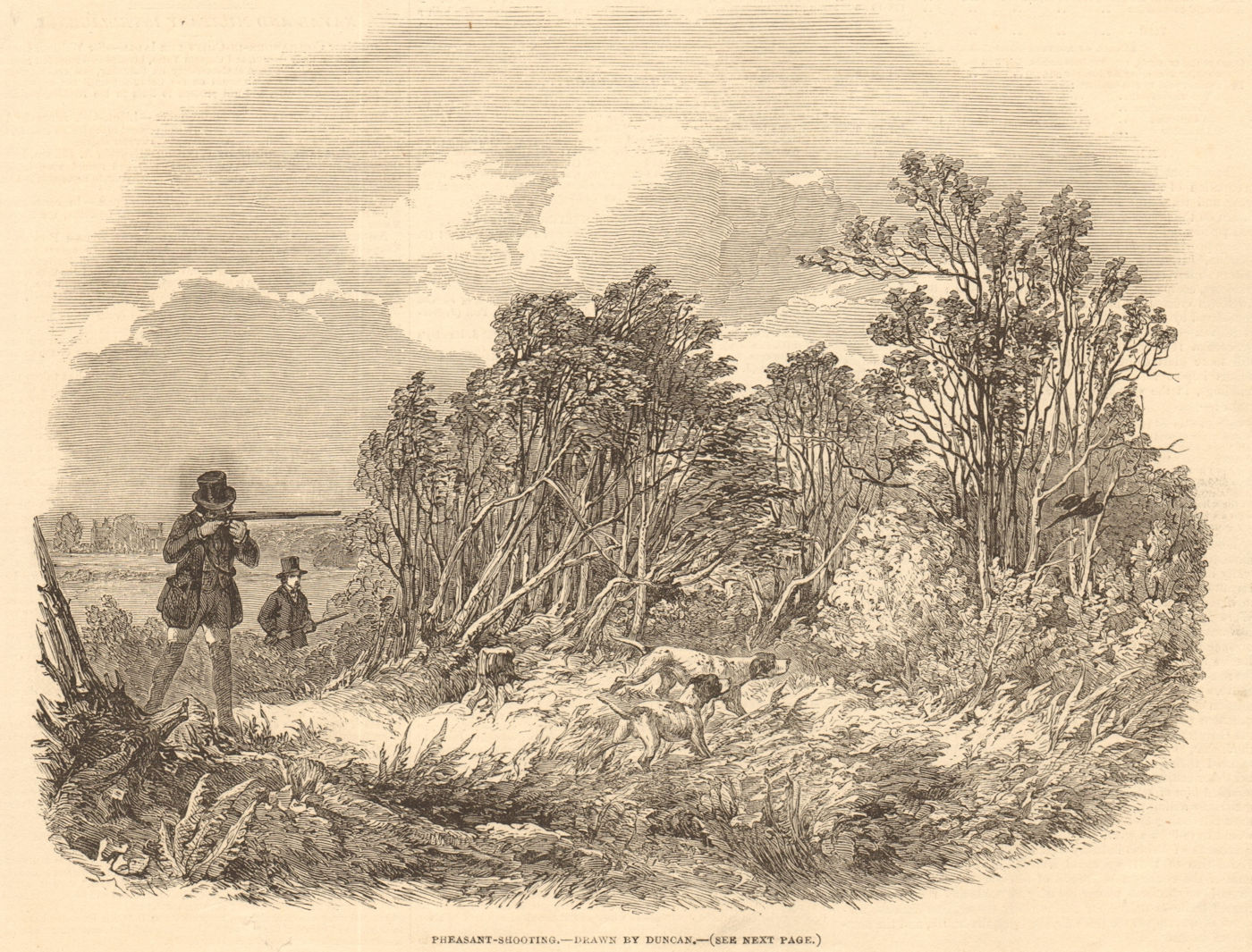 Pheasant-shooting - drawn by Duncan. England. Hunting 1850 old antique print