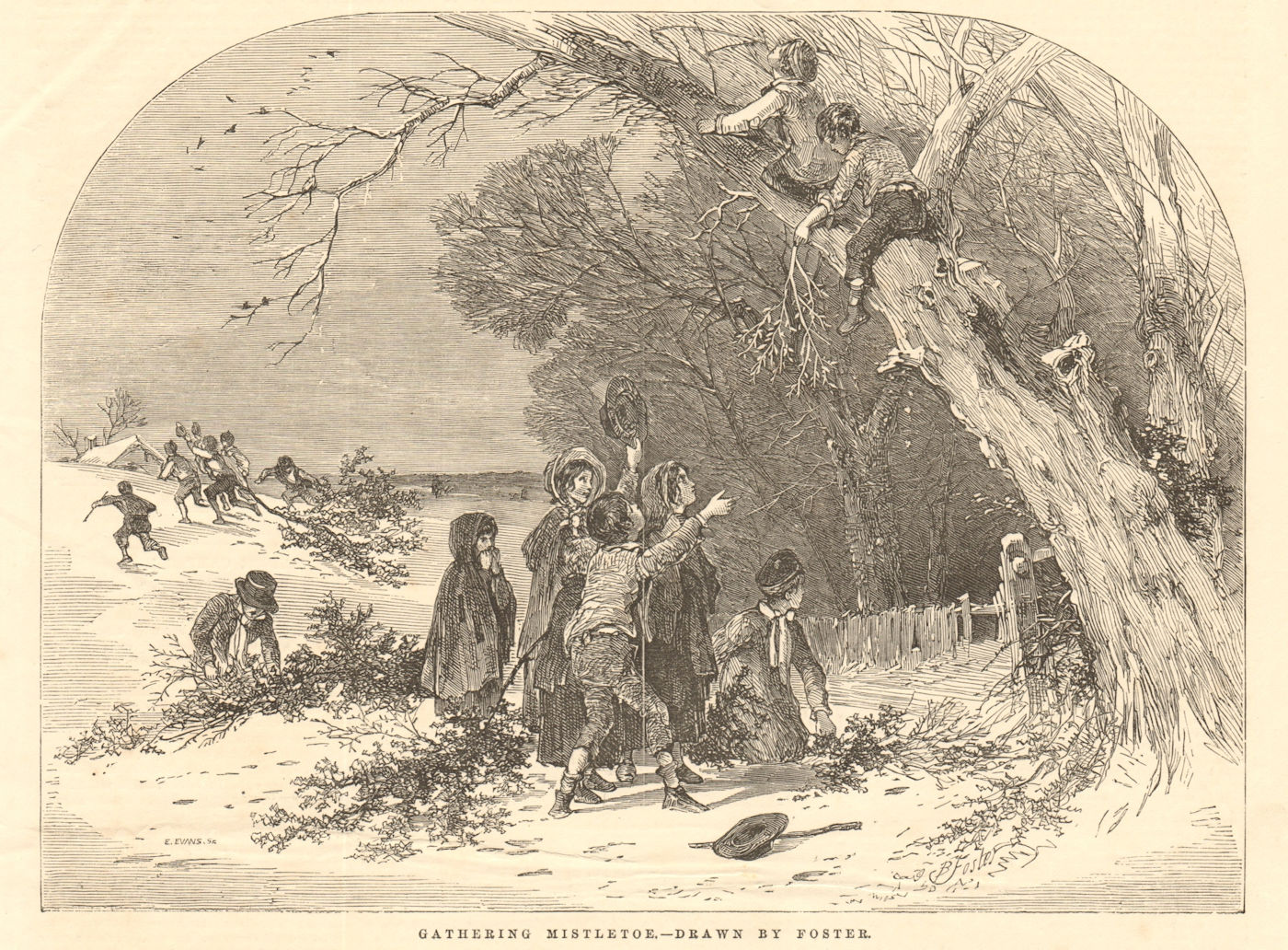 Associate Product Gathering mistletoe - drawn by Foster. Family. Christmas 1851 antique ILN page
