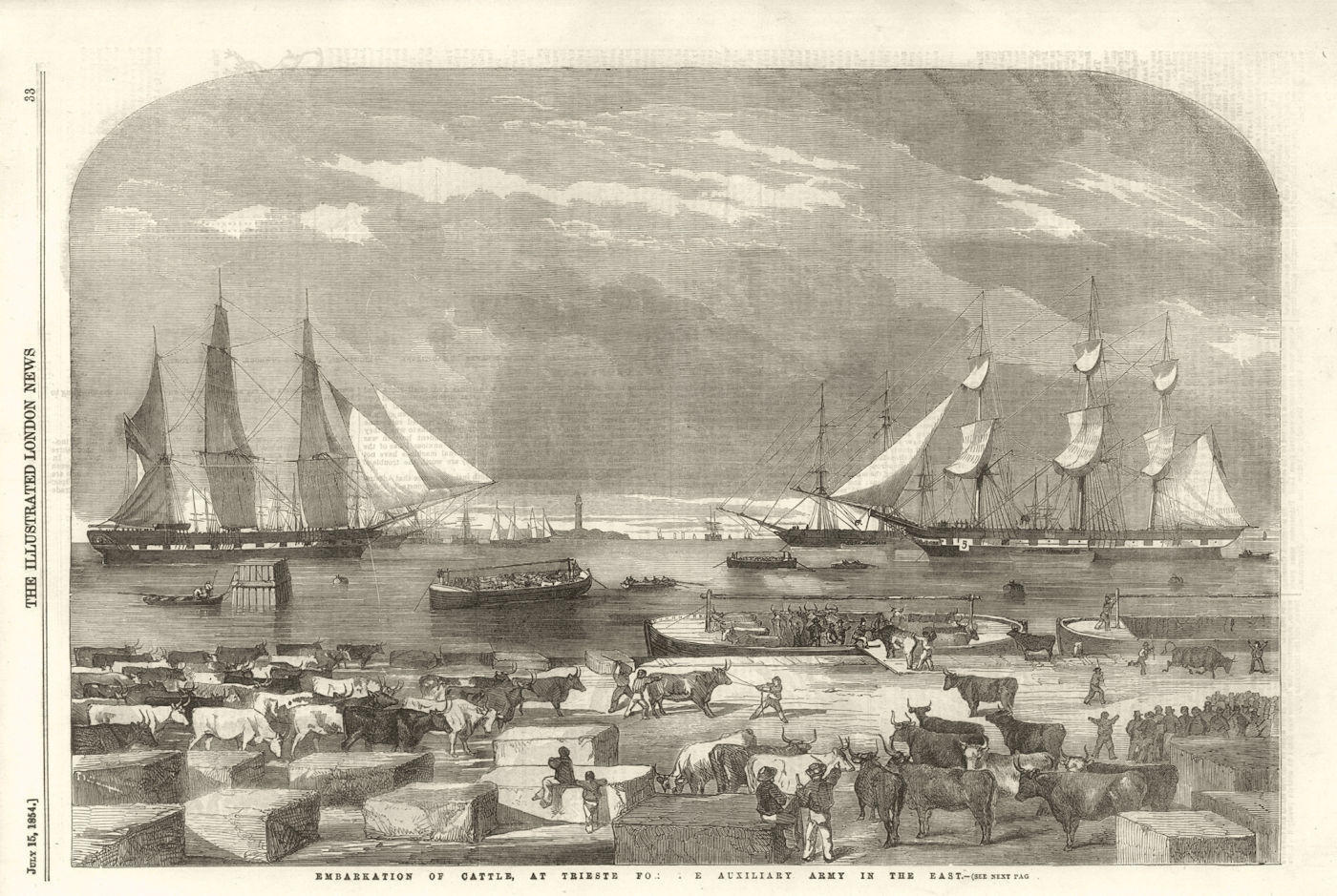 Embarkation of Cattle at Trieste for the Auxiliary Army. Italy. Crimean War 1854
