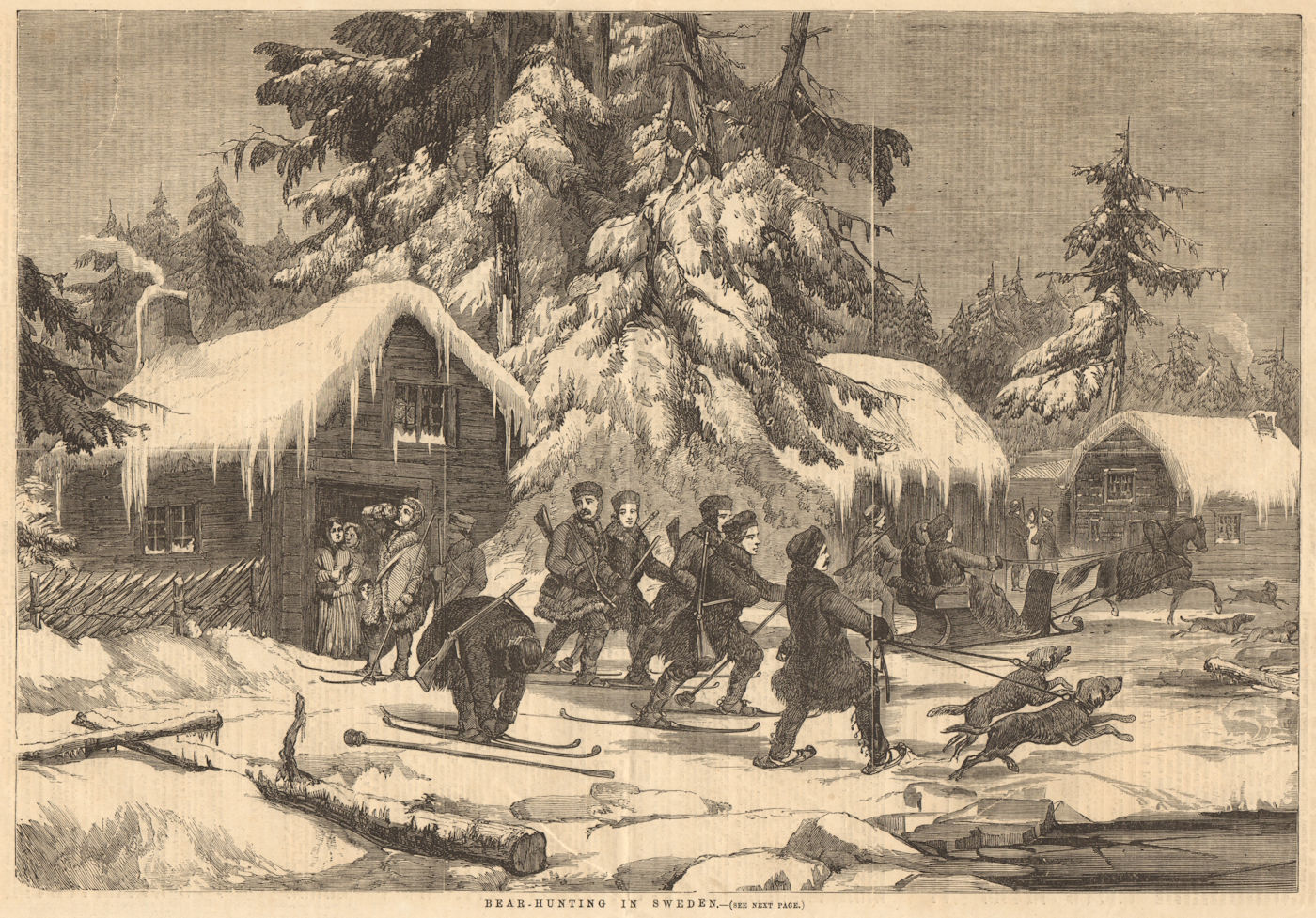 Associate Product Bear hunting in Sweden on skis with sledges & dogs. Skiing 1856 ILN full page