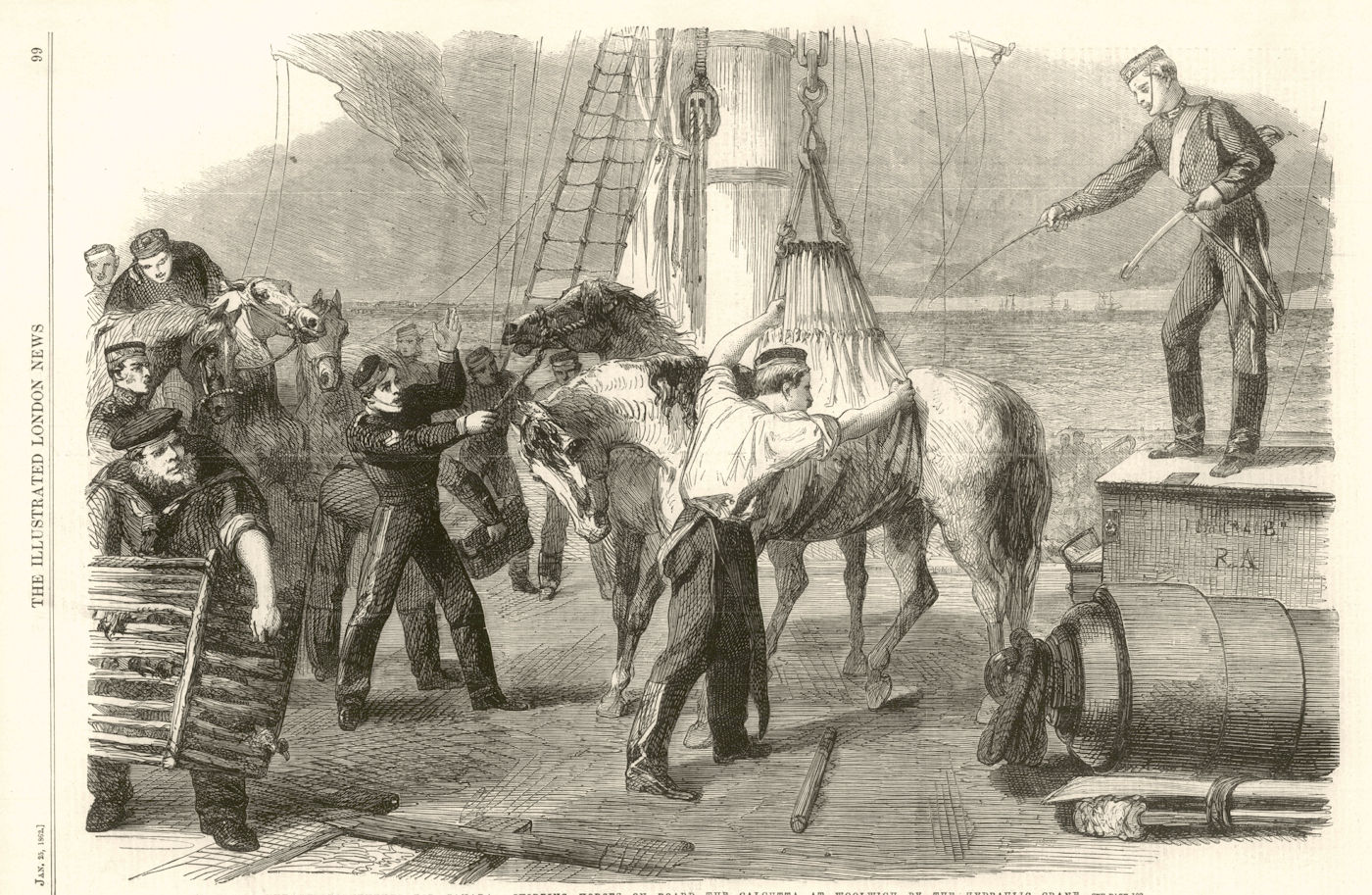 Canada reinforcements: Shipping horses Woolwich hydraulic crane. London 1862