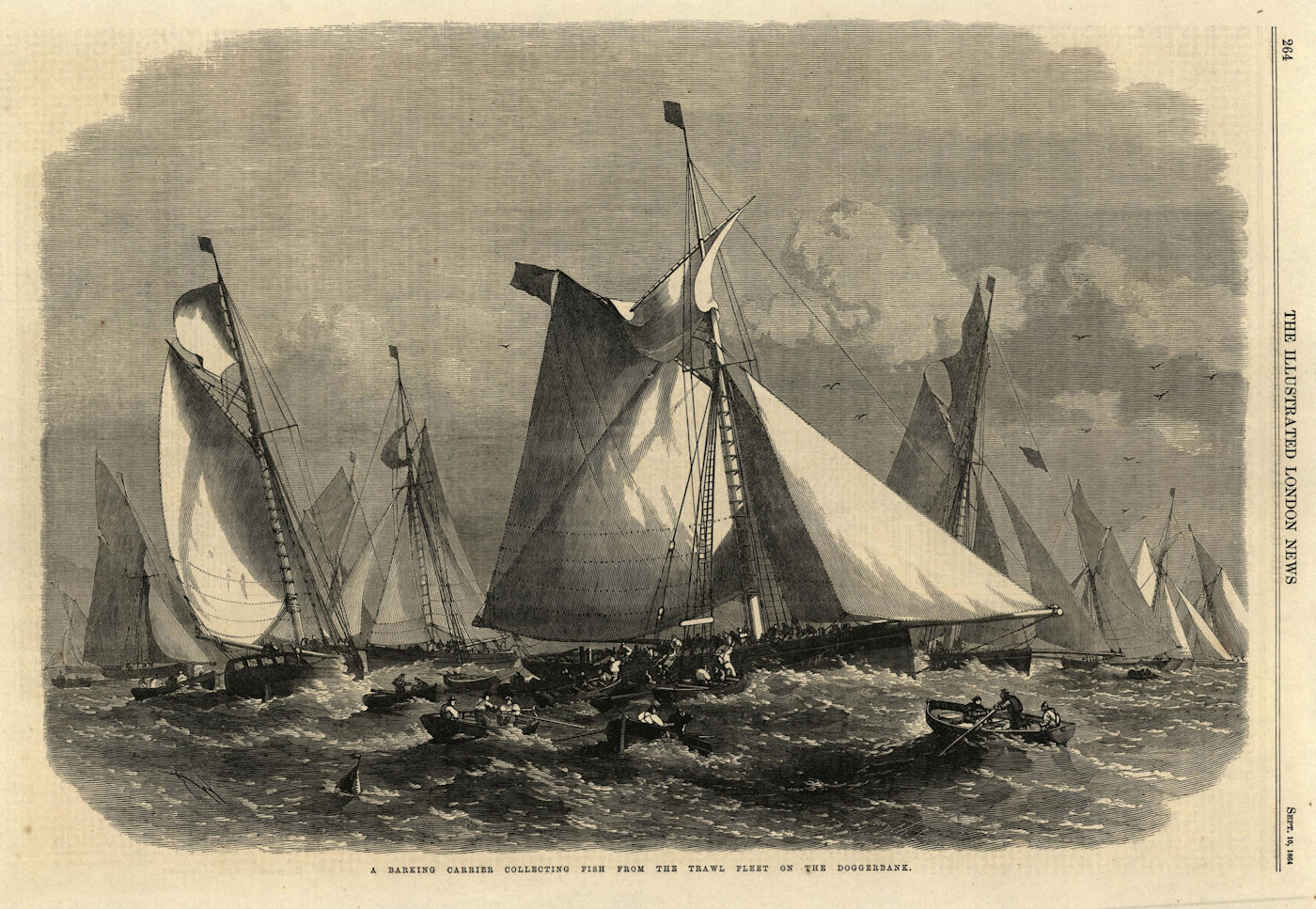 A Barking carrier collecting fish from the trawler fleet on the Dogger Bank 1864