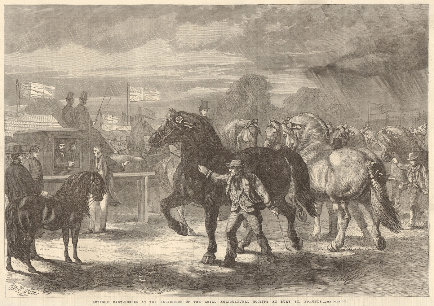Associate Product Suffolk cart horses, Royal Agricultural Society fair, Bury St. Edmunds 1867