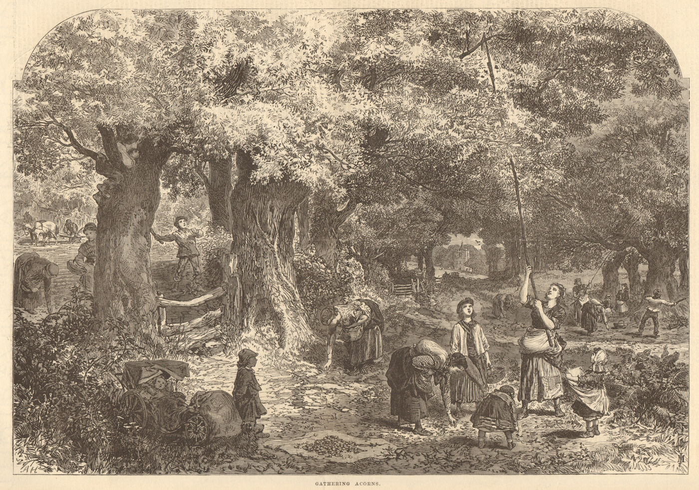 Associate Product Gathering acorns. Farming. Family 1868 antique ILN full page print
