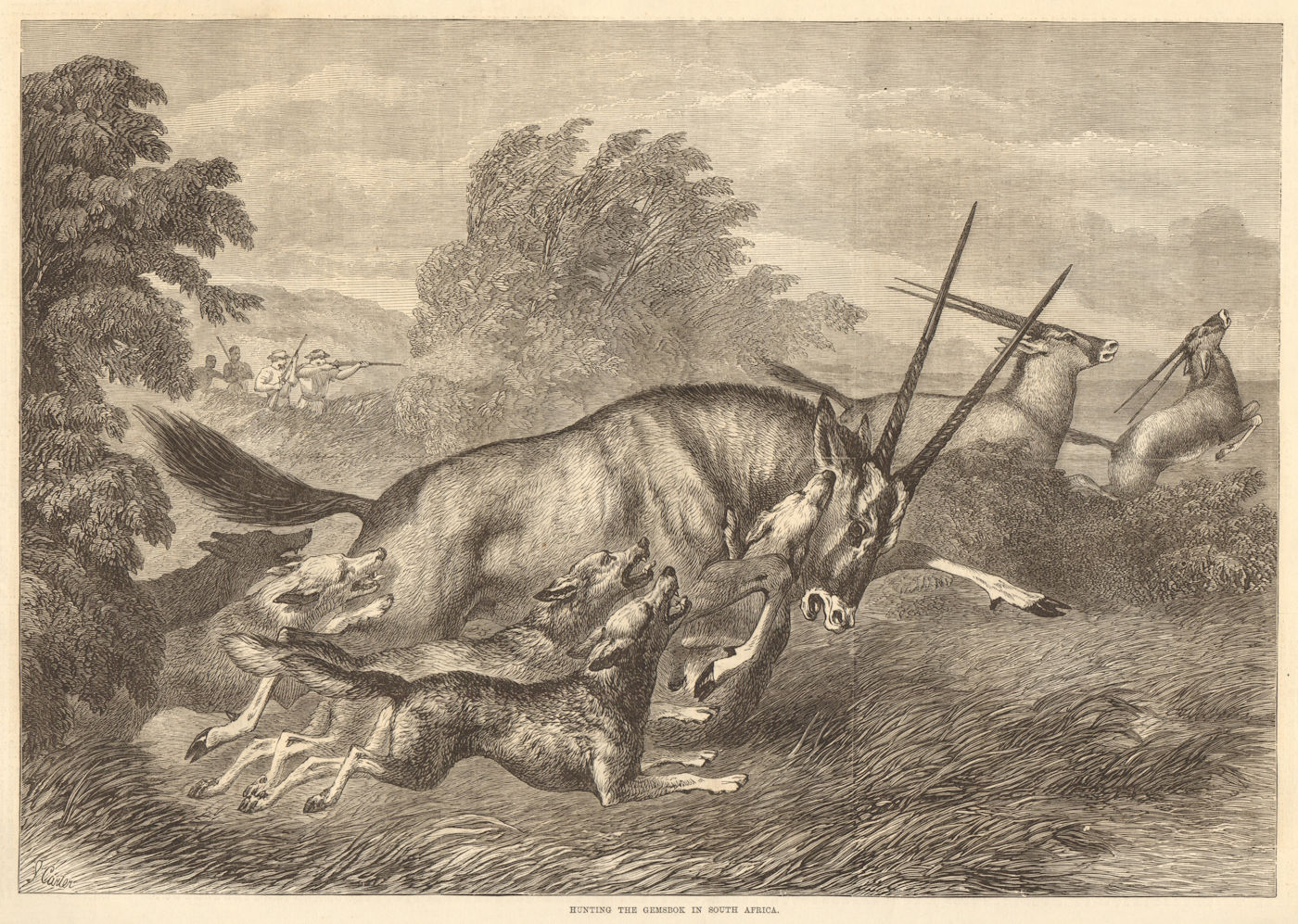 Associate Product Hunting the gemsbok in South Africa 1870 antique ILN full page print
