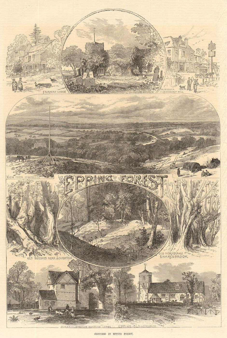 Associate Product Epping Forest, Essex. Fairmead Lodge. Chingford Buckhurst Hill Highbeech 1871