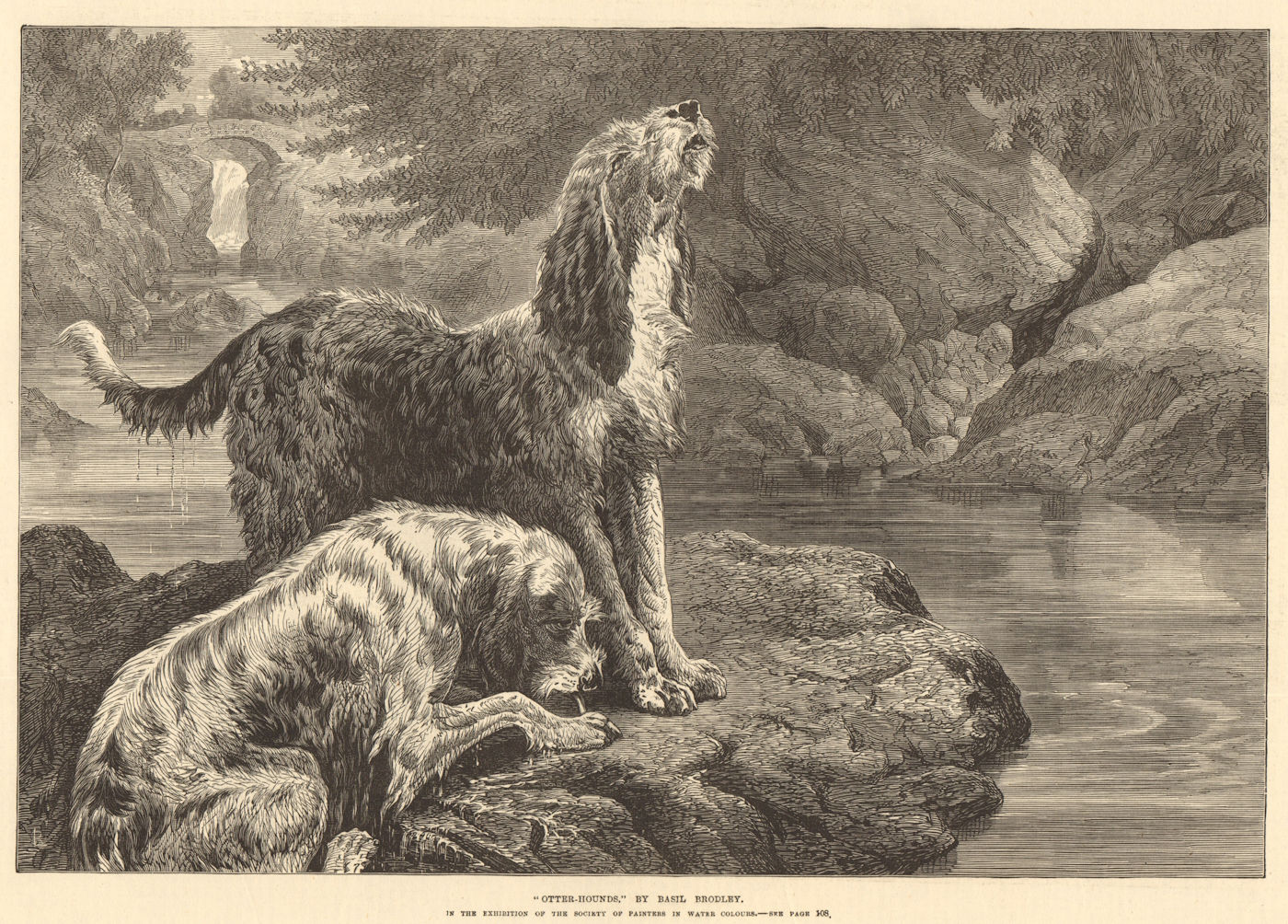 Associate Product "Otter-hounds", by Basil Brodley. Dogs. Fine arts 1872 antique ILN full page