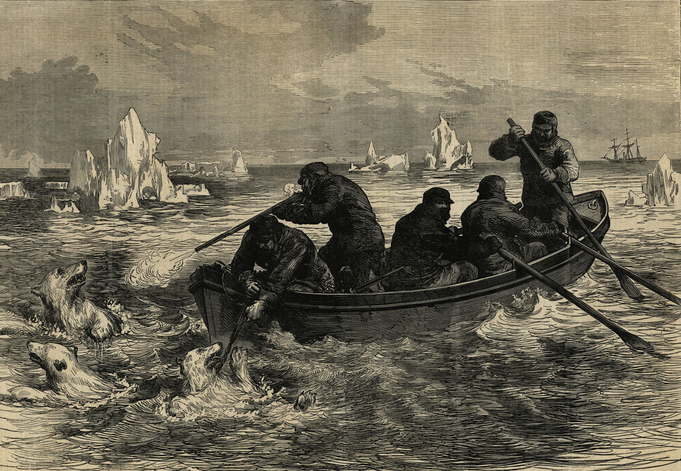 Arctic expedition. Pandora: catching a young polar bear. Ships 1875 ILN print