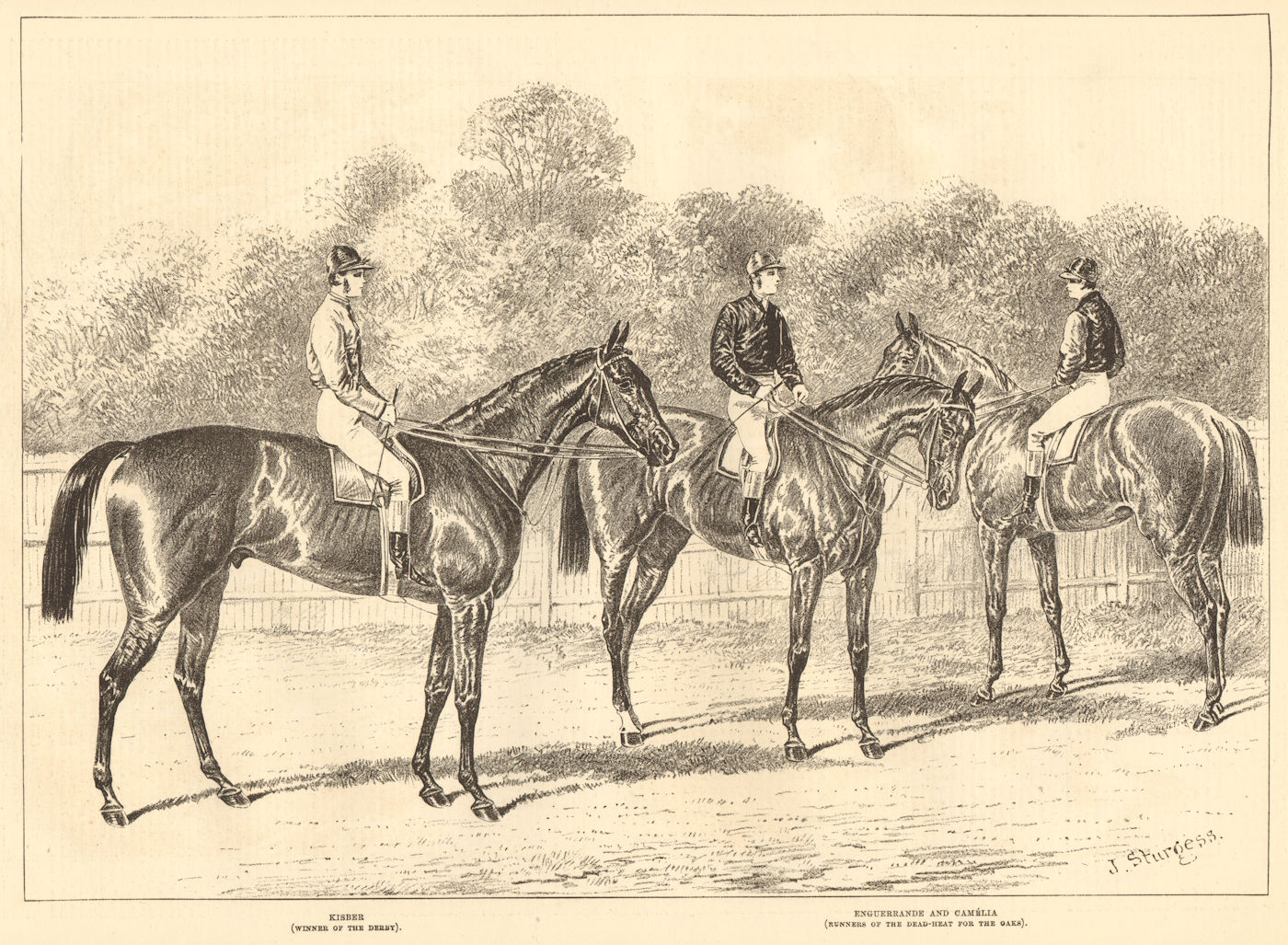 Kisber, Derby winner. Enguerrande & Camelia, Oaks. Jockeys Horse racing 1876