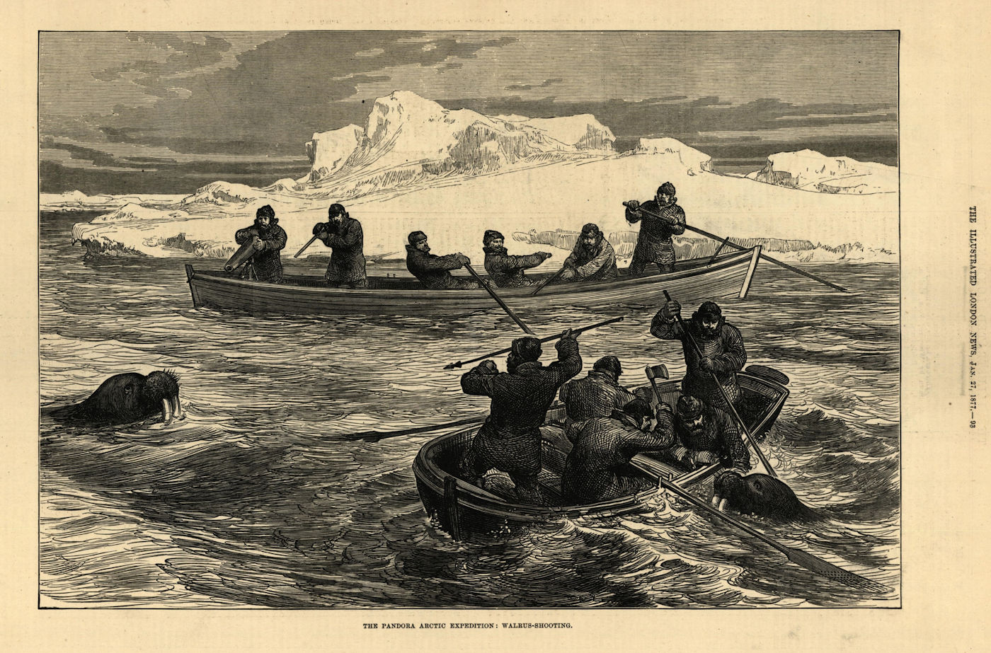 The Pandora Arctic Expedition: Walrus-shooting. Explorers 1877 old print