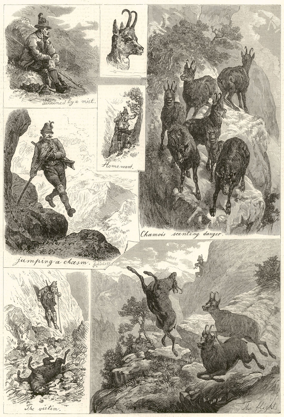 Associate Product Chamois hunting in the Tyrol. Austria 1880 antique ILN full page print