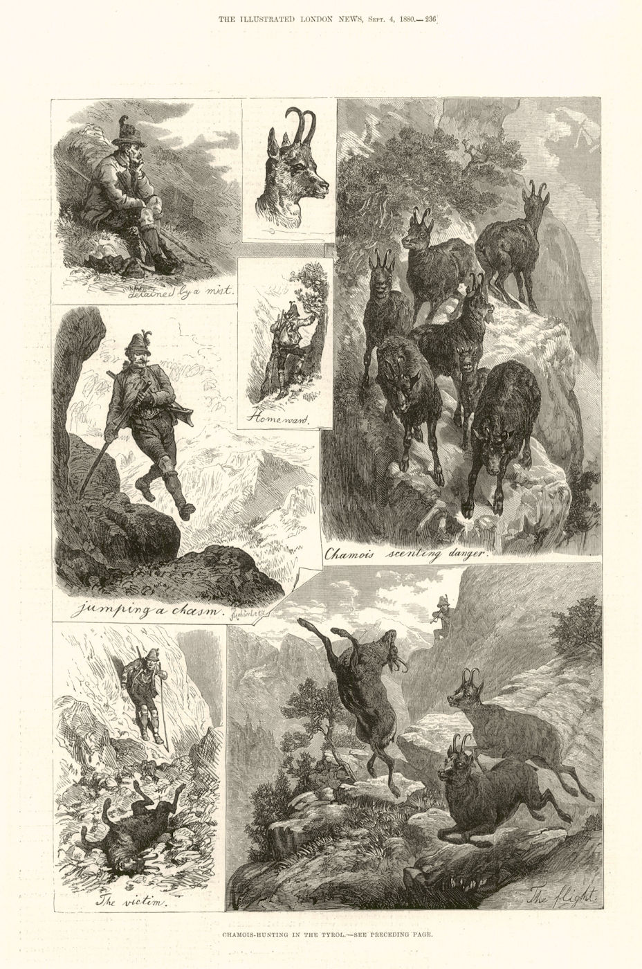 Chamois hunting in the Tyrol. Austria 1880 old antique vintage print picture