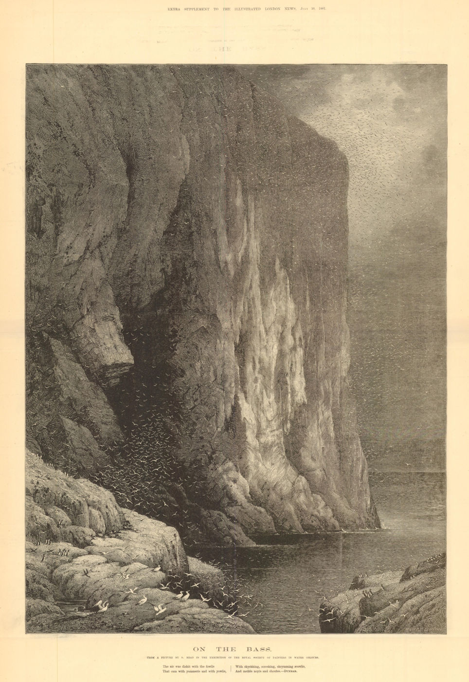 The Bass Rock, from a picture by S. Read. Scotland 1881 old antique print