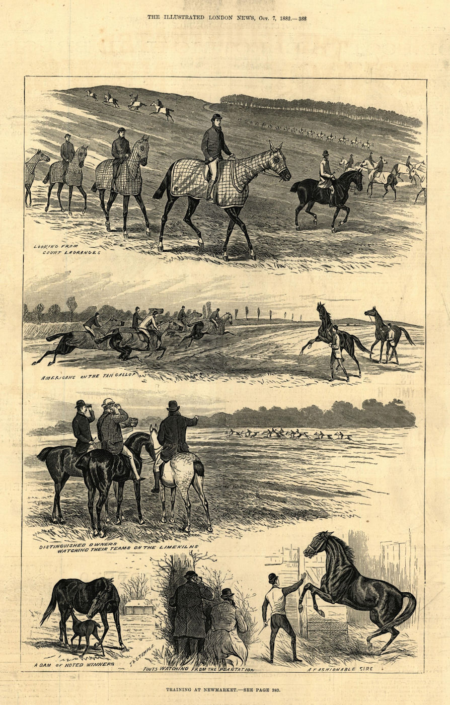 Training at Newmarket. Suffolk. Horses 1882 old antique vintage print picture
