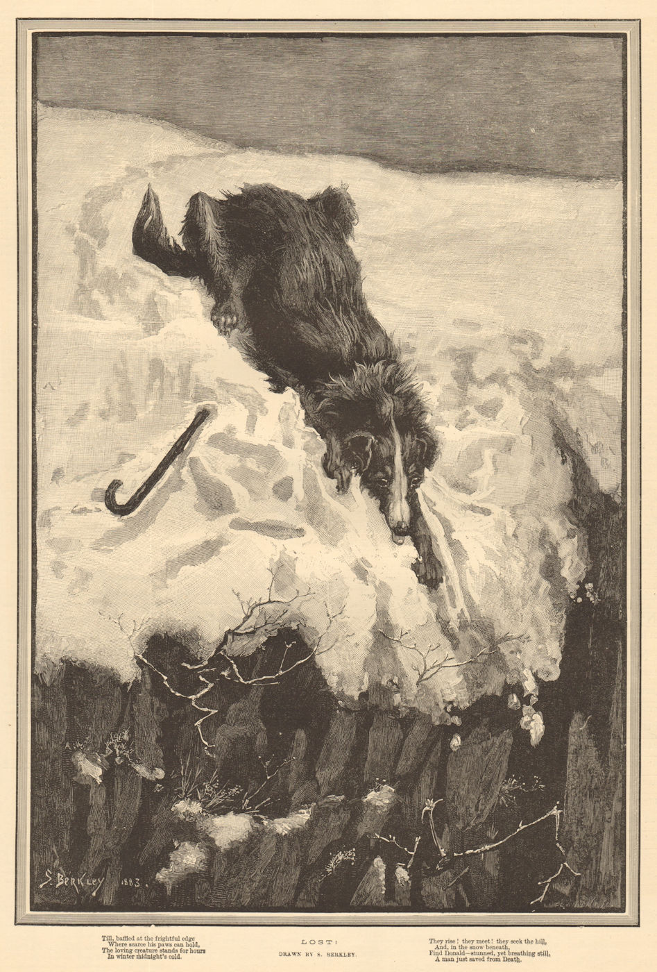Associate Product Lost, drawn by S. Berkley. Snow dogs. 1883 antique ILN full page print