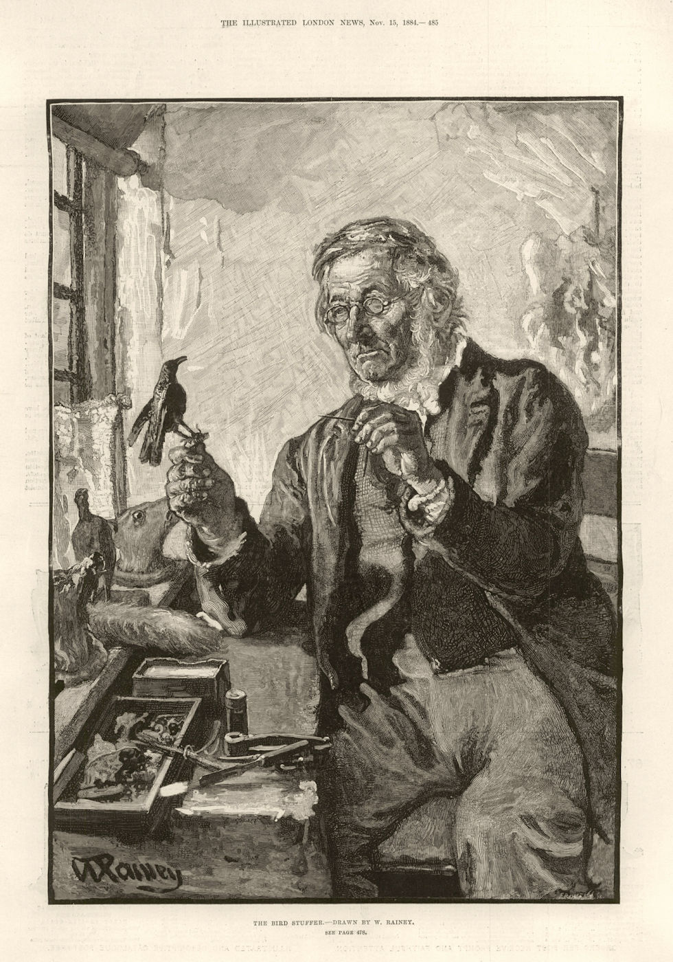 Associate Product The bird stuffer. Portraits 1884 antique ILN full page print