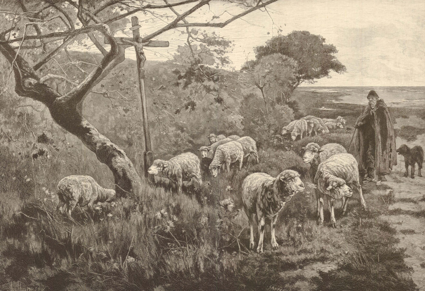 The good shepherd. Sheep. Farming 1884 antique ILN full page print