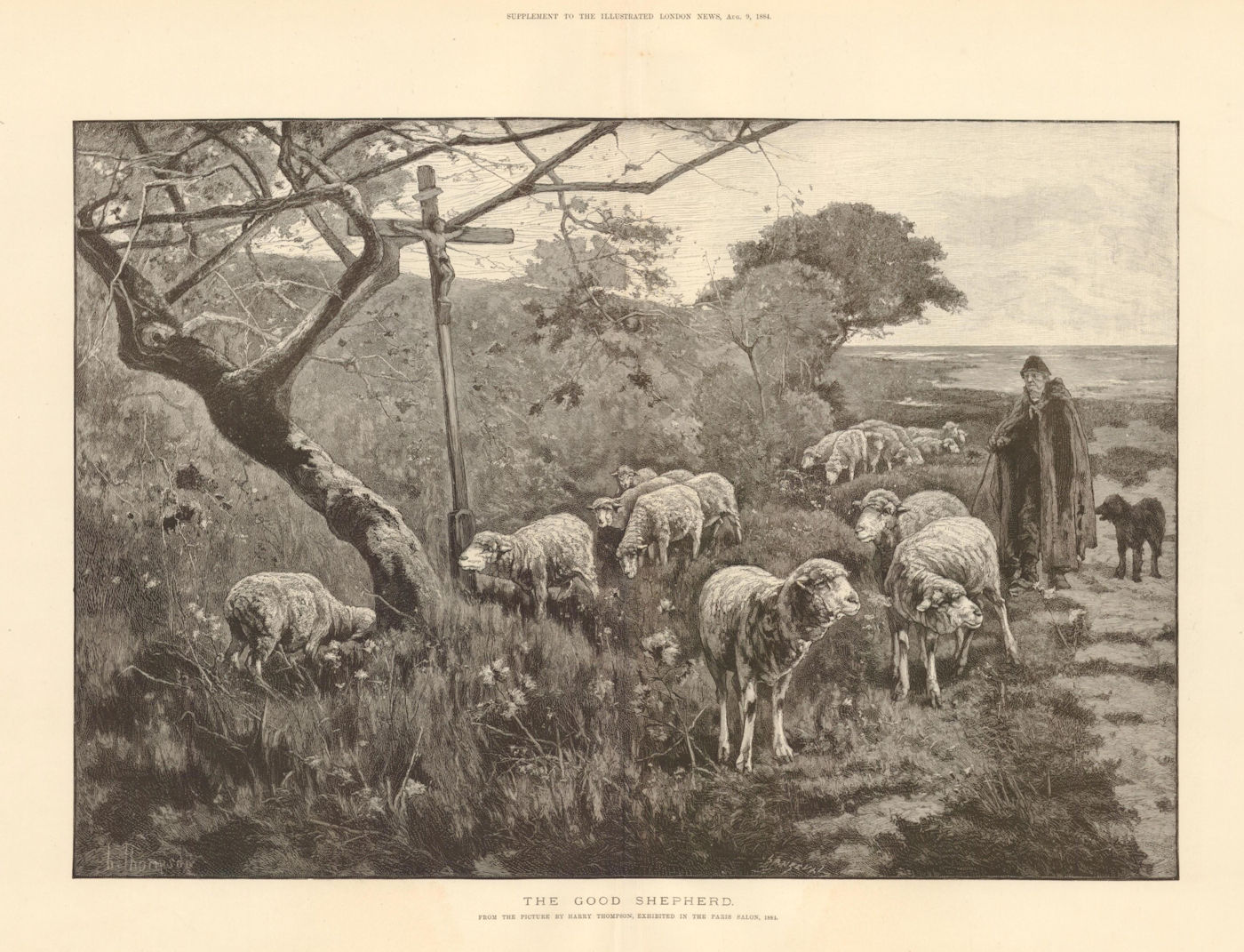 The good shepherd. Sheep. Farming 1884 old antique vintage print picture