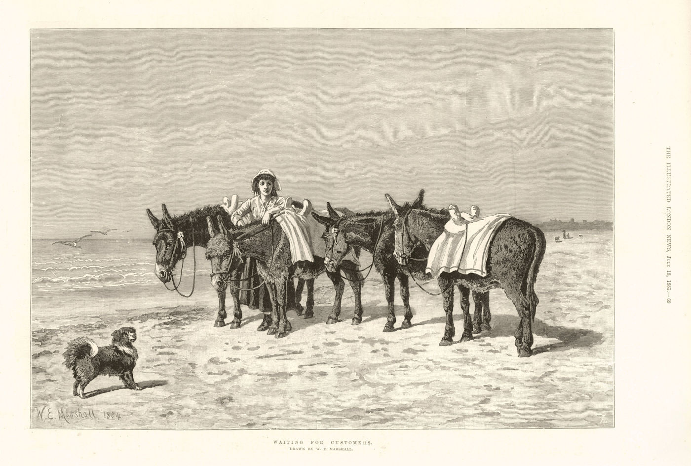 Waiting for customers. Donkeys. Fine arts 1885 antique ILN full page print