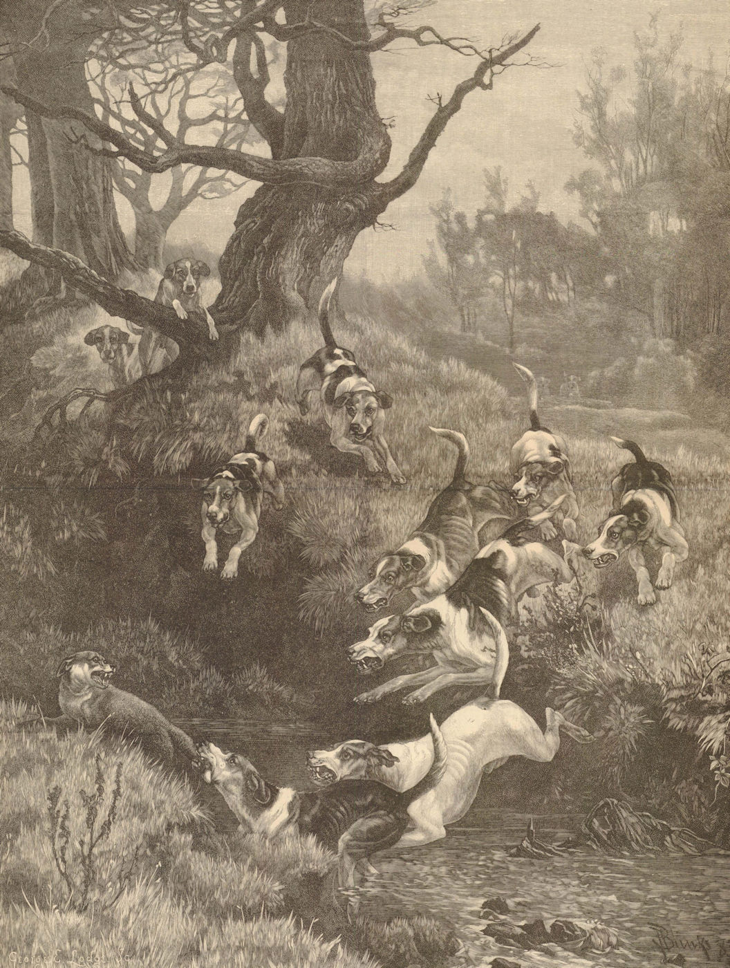 The End of the Tail. Fox hunting 1886 antique ILN full page print