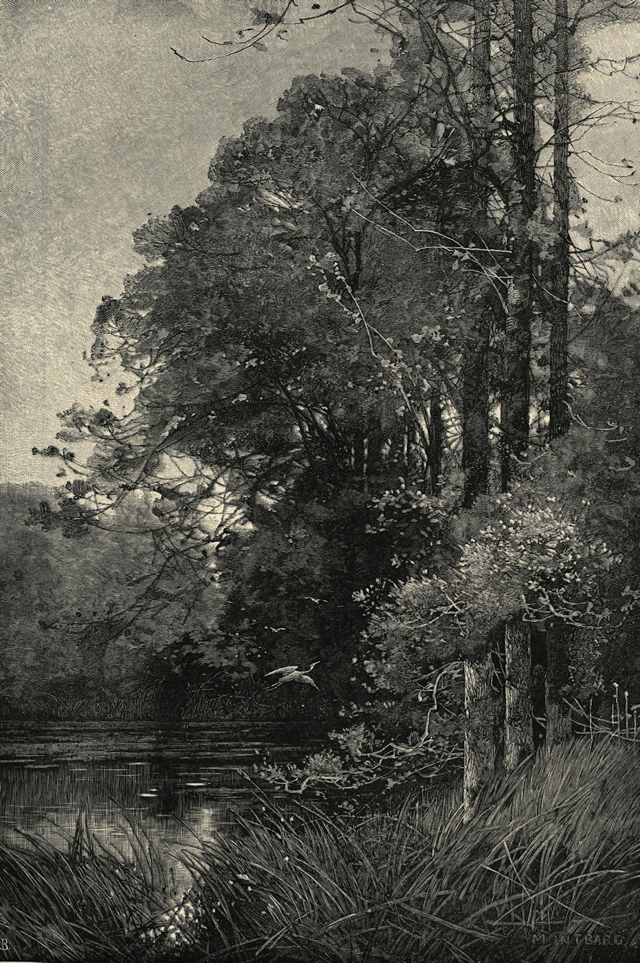 Associate Product Longleat: End of the Lower Lake. Wiltshire 1887 antique ILN full page print