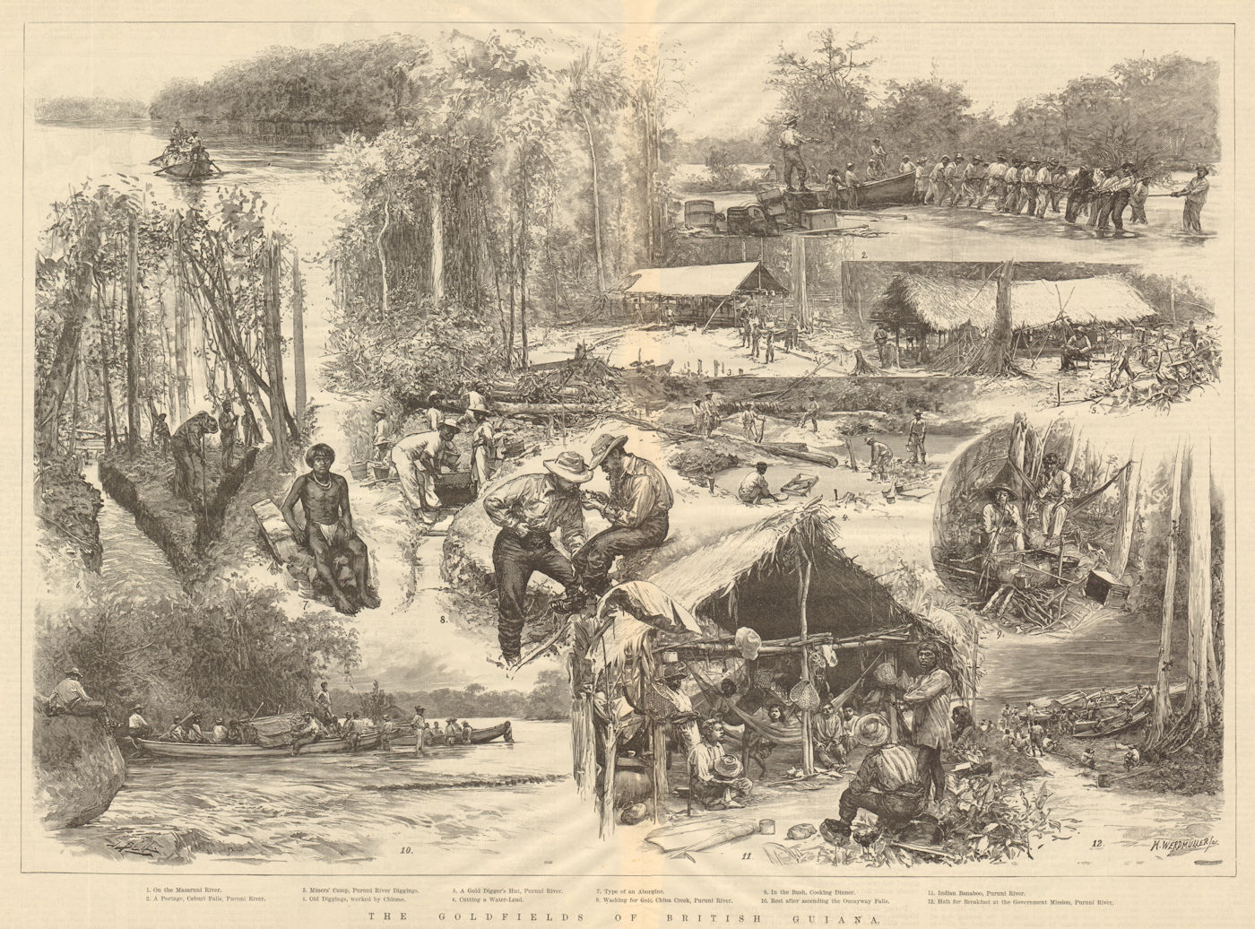 Associate Product Sketches in British Guiana (Guyana) . Guyana. Mining 1890 ILN full page print