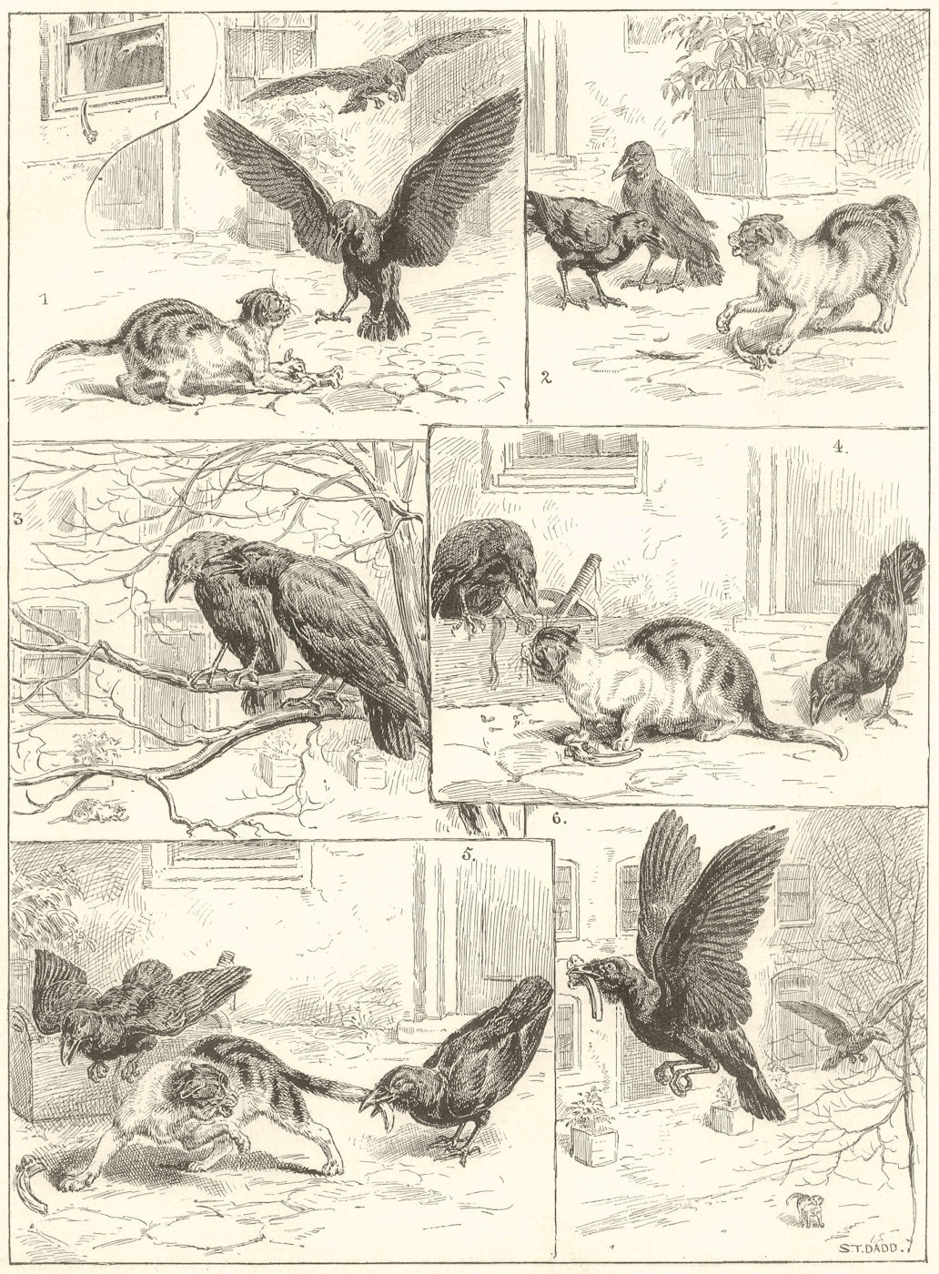 Two Heads are better than one. Cats 1890 antique ILN full page print