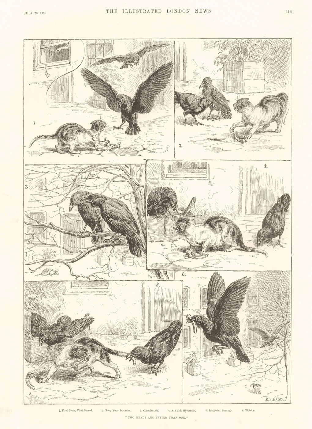 Associate Product Two Heads are better than one. Cats 1890 antique ILN full page print