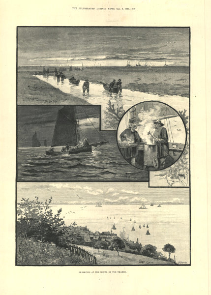 Associate Product Shrimping at the mouth of the Thames. Leigh-on-Sea, Essex. Fishermen 1891