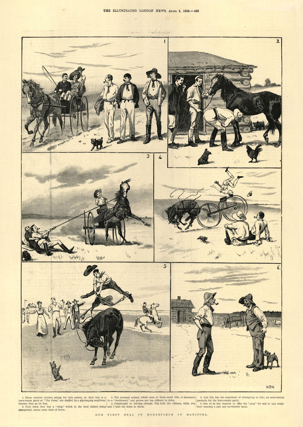 Our first deal in horseflesh in Manitoba. Canada. Cartoons 1892 old print