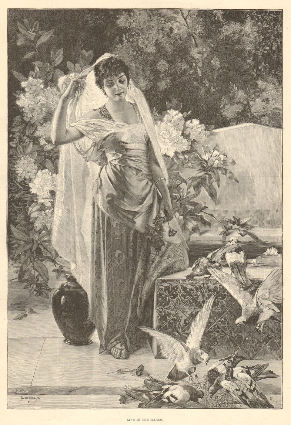 Associate Product Life in the harem. Pretty Ladies. Birds 1893 antique ILN full page print