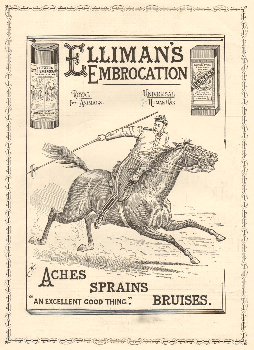 Elliman's embrocation. Aches Sprains Bruises. ADVERT. Lancer. Horse 1896 print
