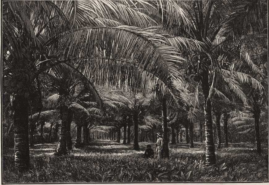 A Cocoa-nut Plantation, Fiji. Fiji 1890 old antique vintage print picture