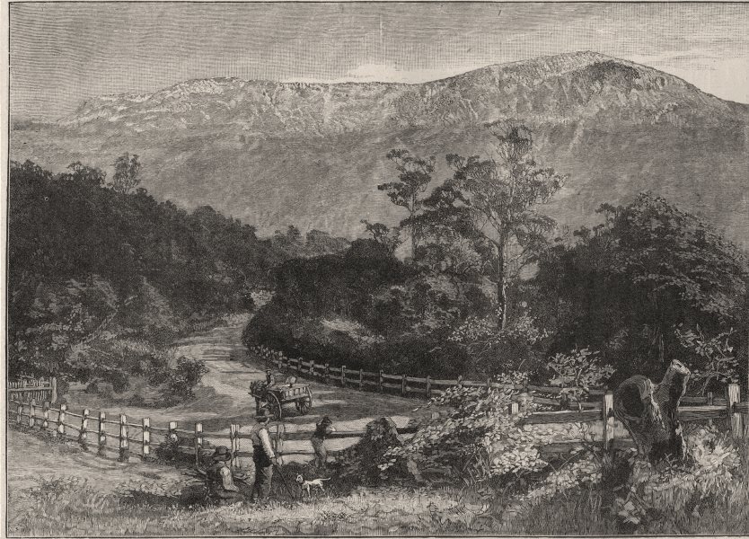 Mount Wellington, from the Huon Road. Tasmania. Australia 1890 old print