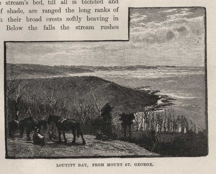 Loutitt Bay, from Mount St George. Lorne. Australia 1890 old antique print