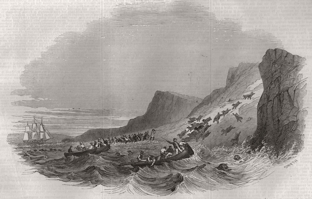 PERU. Sealion hunt off Callao, coast of Peru 1847 old antique print picture