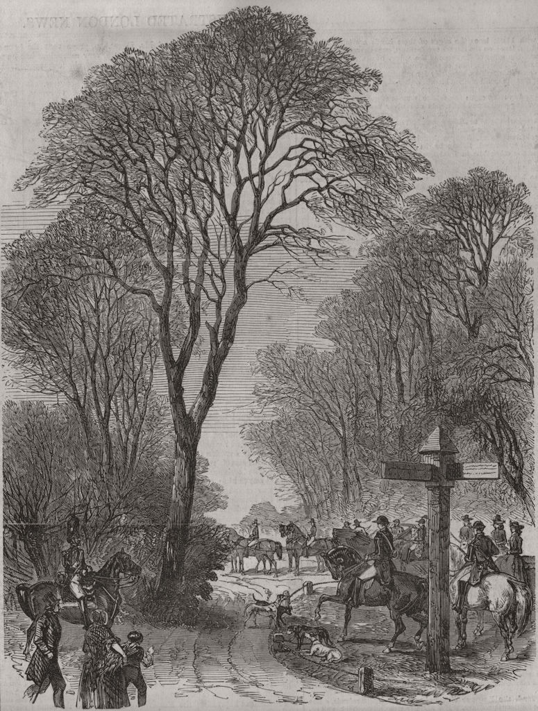 COMPIEGNE. Emperor Louis Napoleon at the Hunting meeting. France 1853 print