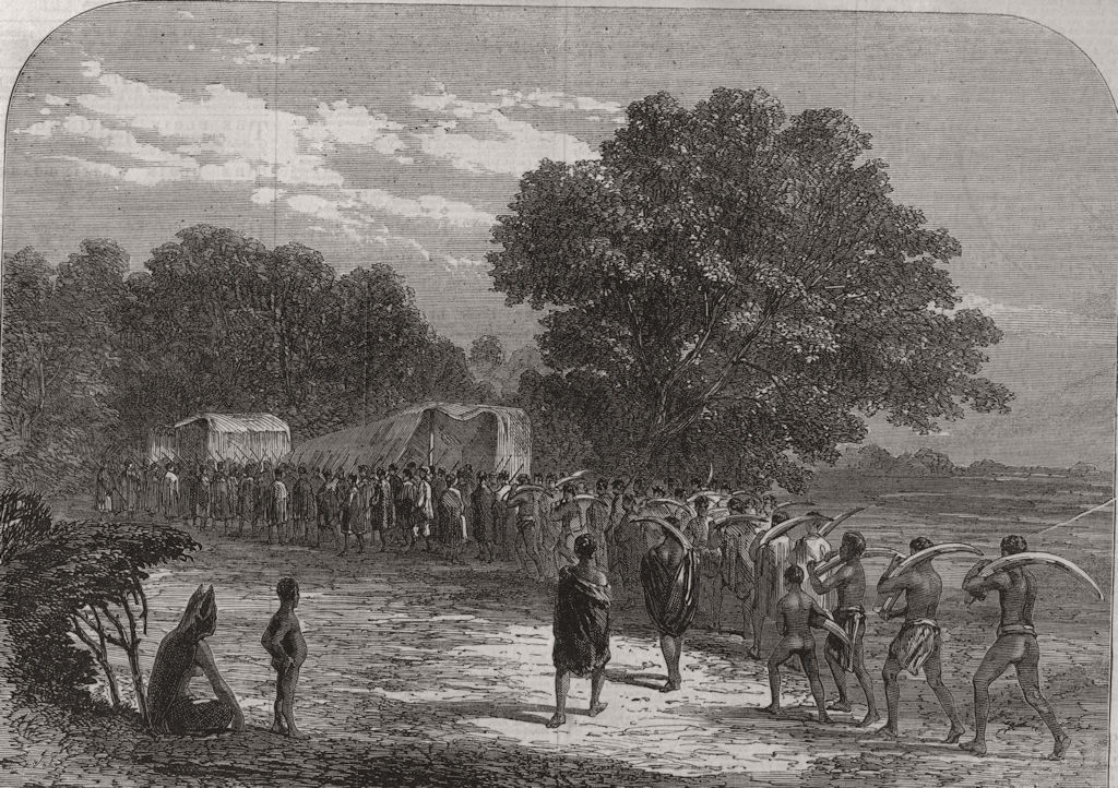 SOUTH AFRICA. Bringing Ivory to the Waggons 1868 old antique print picture