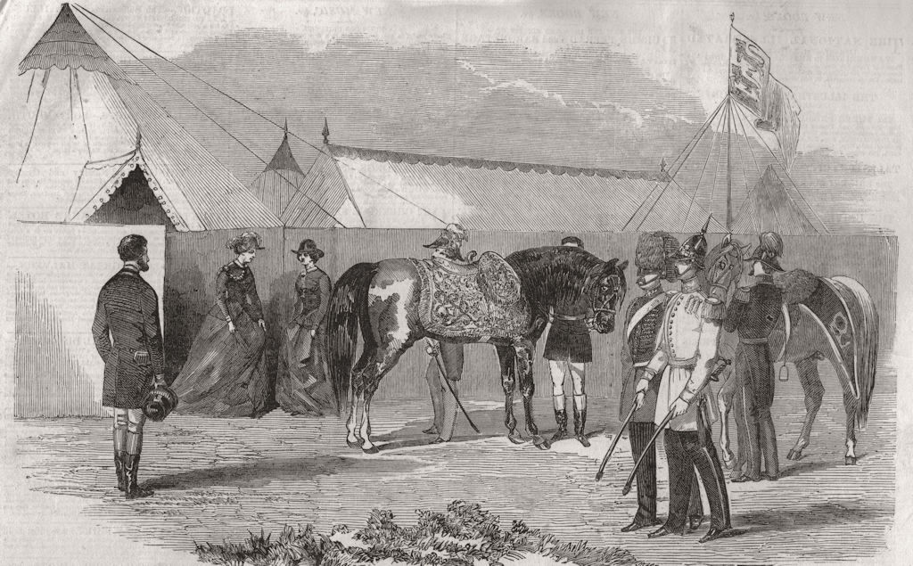 Associate Product SURREY. The Camp at Chobham-Her Majesty's Charger. Horses 1853 old print